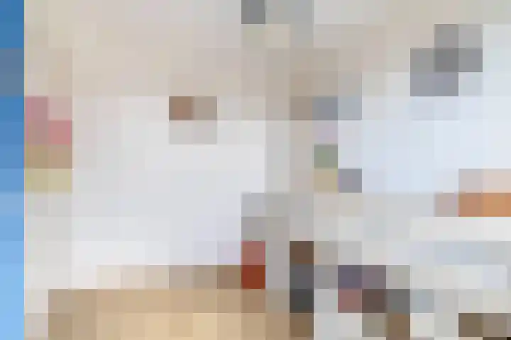 Dijkgraaf 14 Brielle thumbnail 30