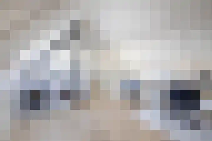Dijkgraaf 14 Brielle thumbnail 36