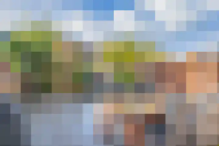Dijkgraaf 14 Brielle thumbnail 38
