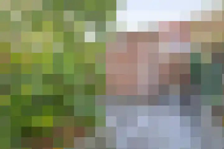 Dijkgraaf 14 Brielle thumbnail 39