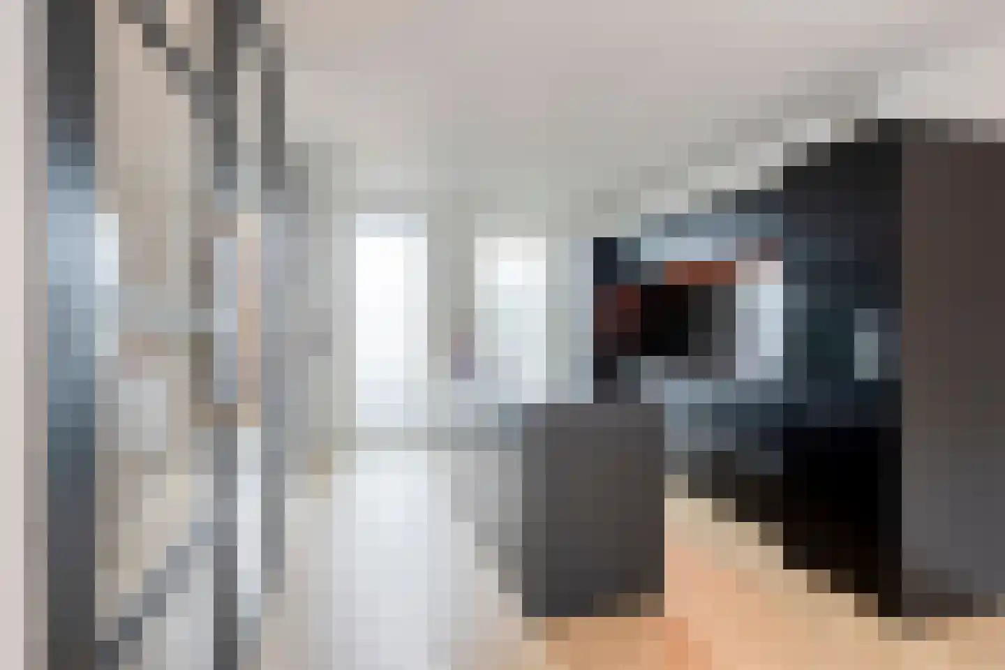 Dijkgraaf 16 Zwaag thumbnail 15