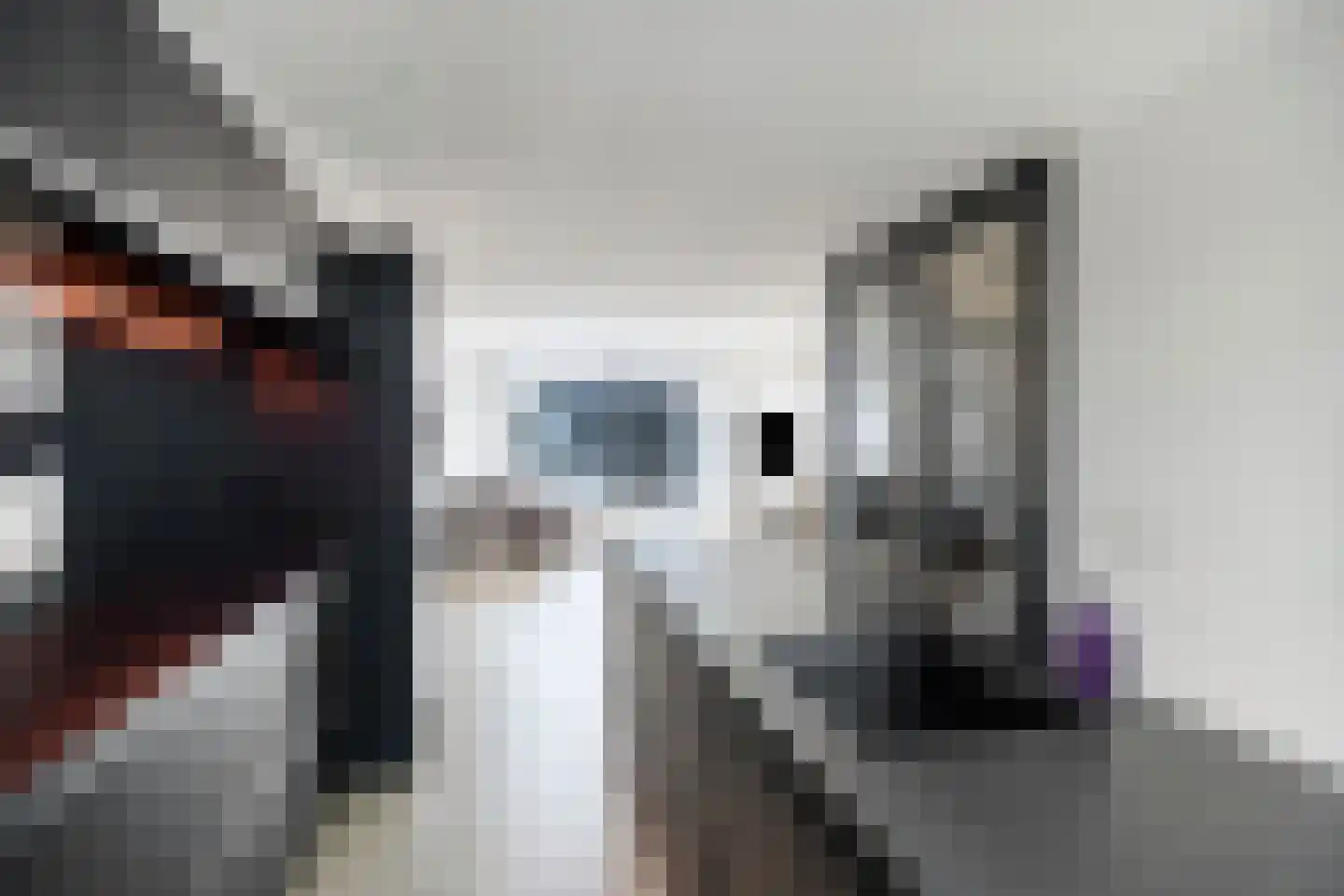 Dijkgraaf 16 Zwaag thumbnail 18