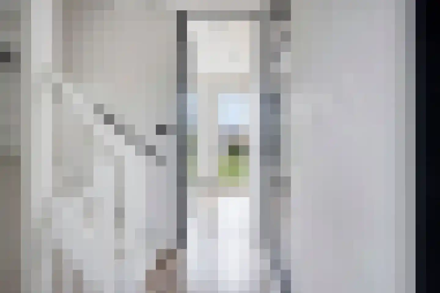 Dijkgraaf 16 Zwaag thumbnail 20