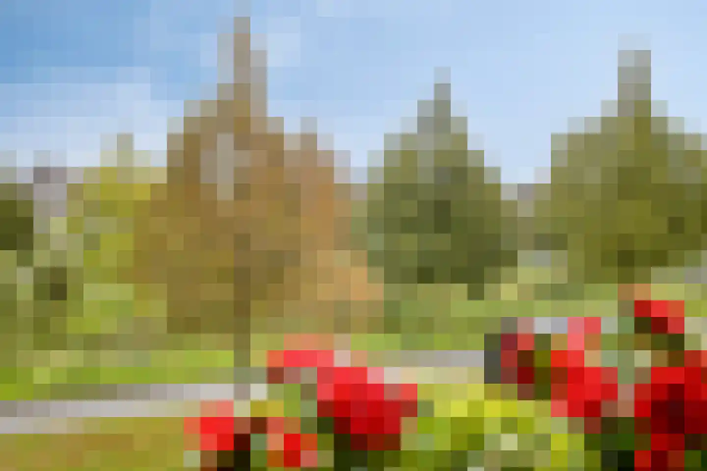 Dijkgraaf 16 Zwaag thumbnail 22
