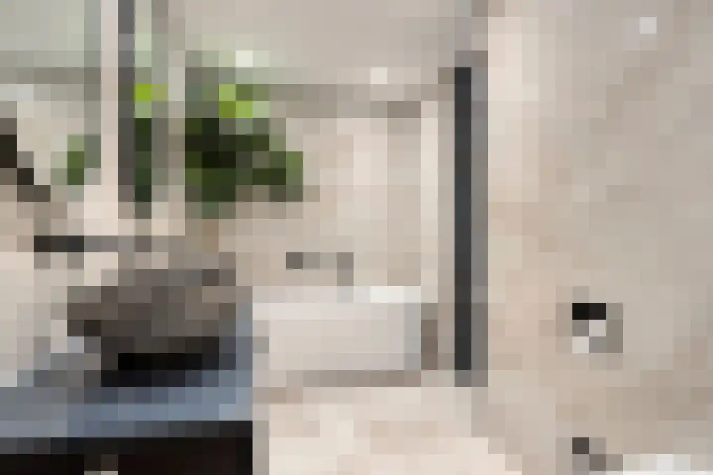 Dijkgraaf 16 Zwaag thumbnail 26