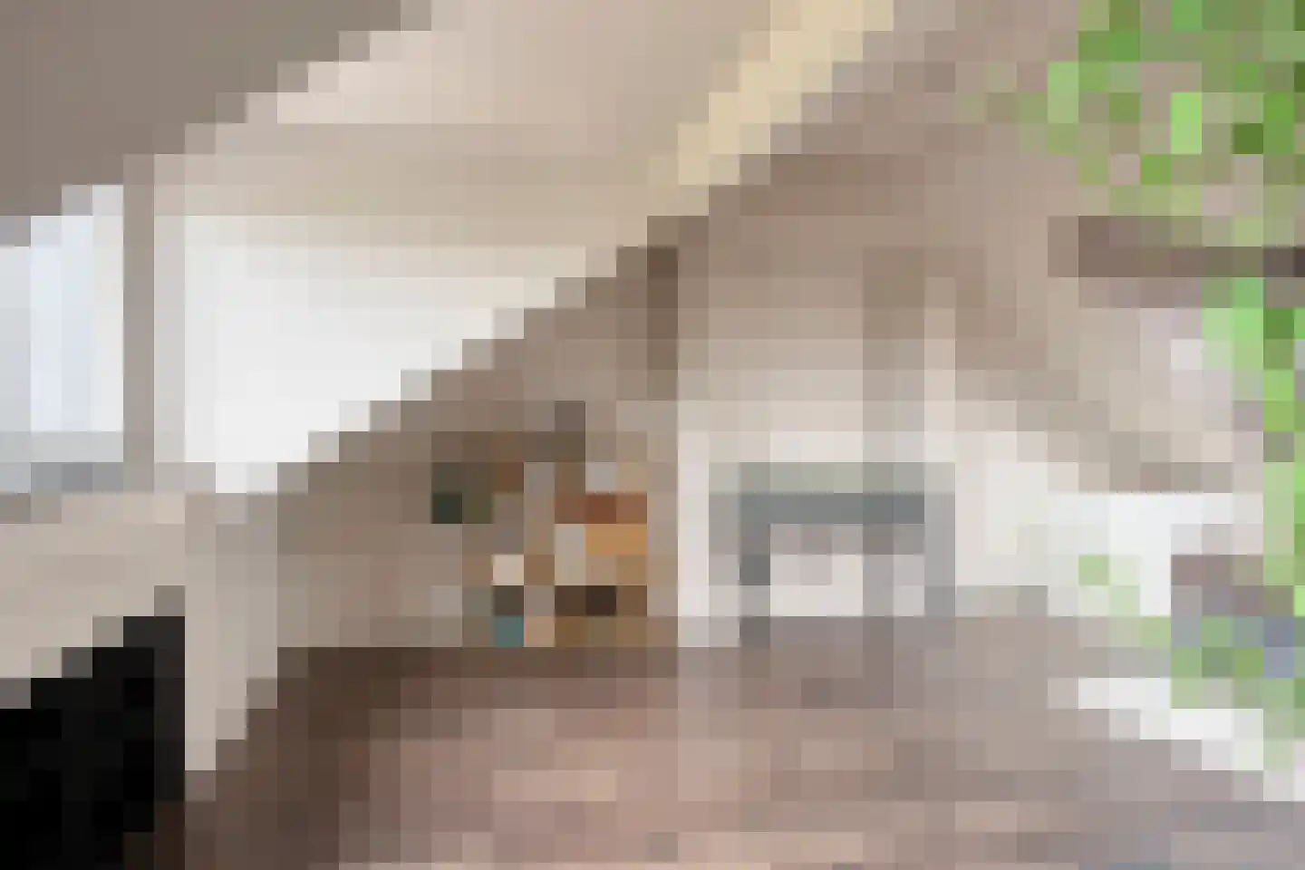 Dijkgraaf 16 Zwaag thumbnail 30