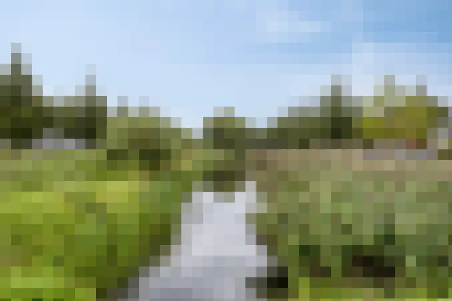 Dijkgraaf 16 Zwaag thumbnail 37