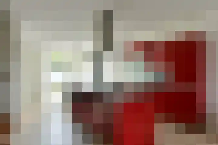 Dijkgraaf 164 Zwaag thumbnail 10