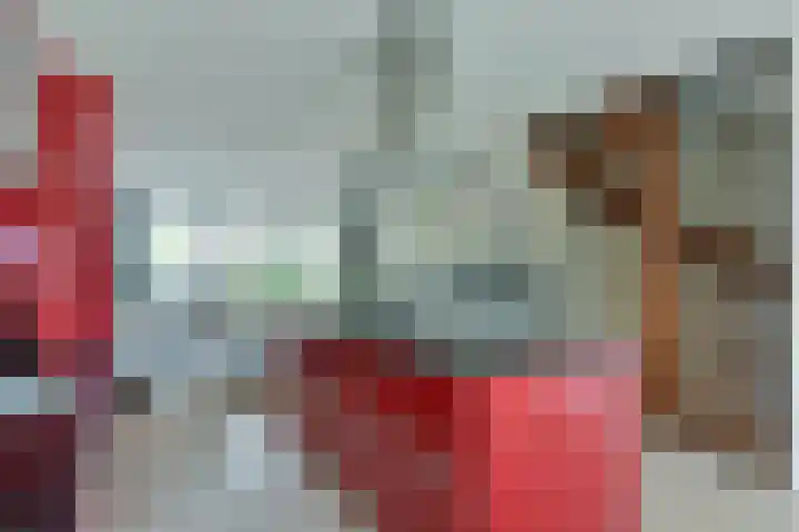 Dijkgraaf 164 Zwaag thumbnail 12