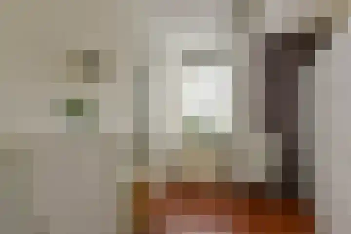 Dijkgraaf 164 Zwaag thumbnail 16