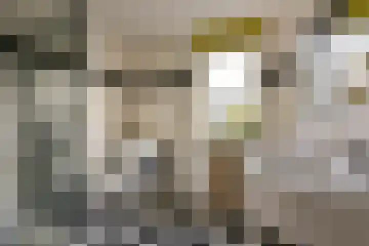 Dijkgraaf 164 Zwaag thumbnail 17