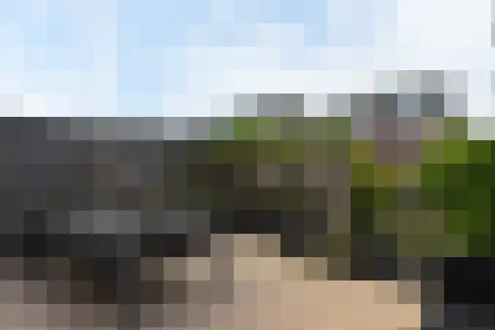 Dijkgraaf 164 Zwaag thumbnail 21