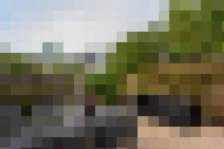 Dijkgraaf 164 Zwaag thumbnail 22