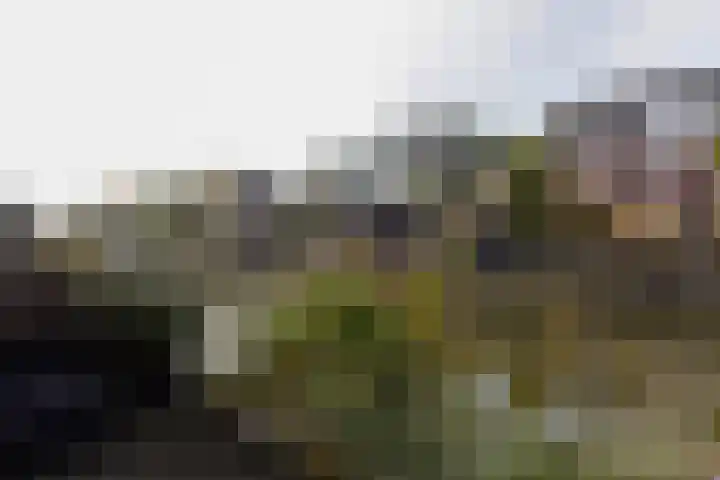 Dijkgraaf 164 Zwaag thumbnail 23