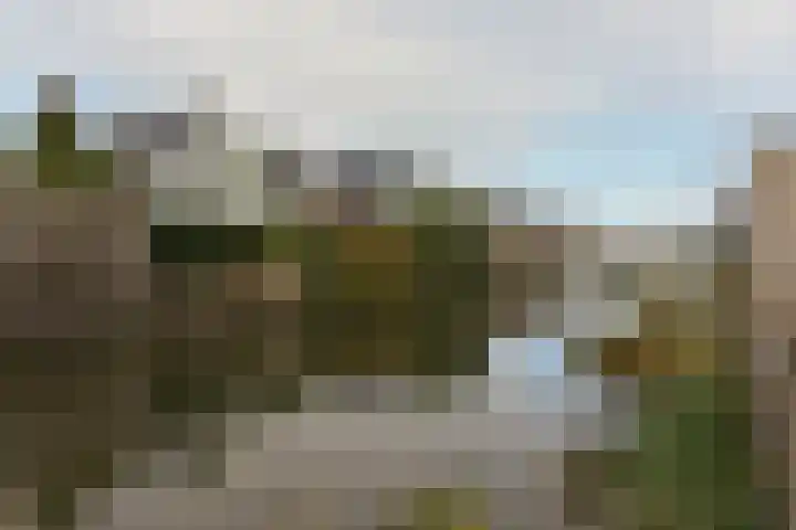 Dijkgraaf 164 Zwaag thumbnail 24