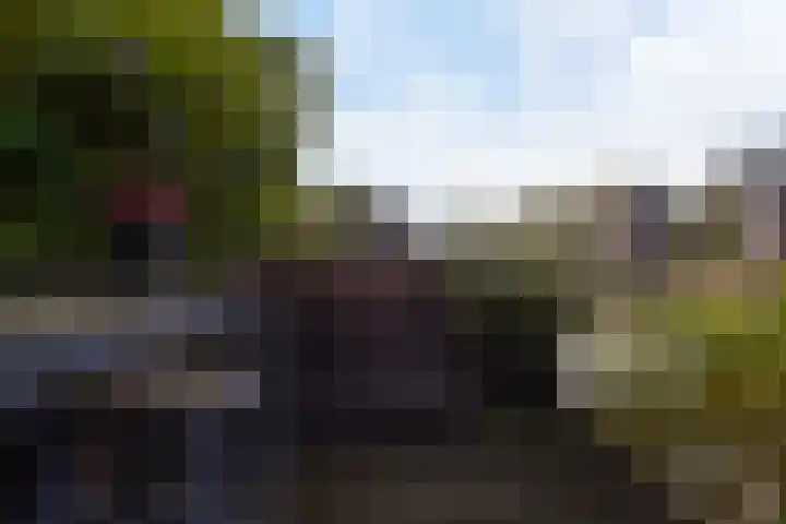 Dijkgraaf 164 Zwaag thumbnail 25