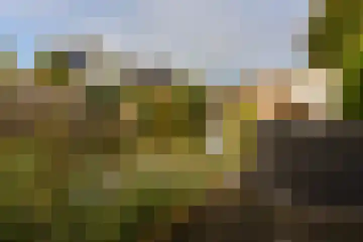 Dijkgraaf 164 Zwaag thumbnail 26