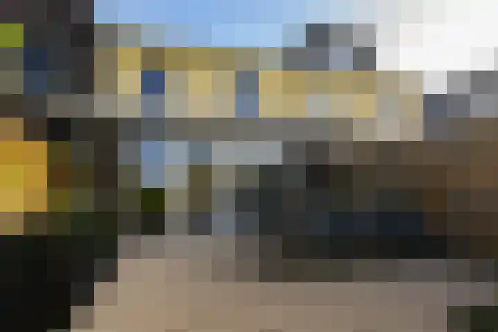 Dijkgraaf 164 Zwaag thumbnail 28