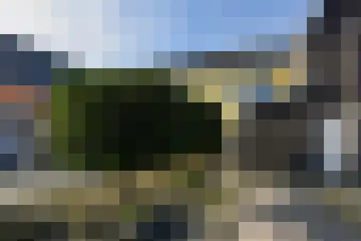 Dijkgraaf 164 Zwaag thumbnail 30