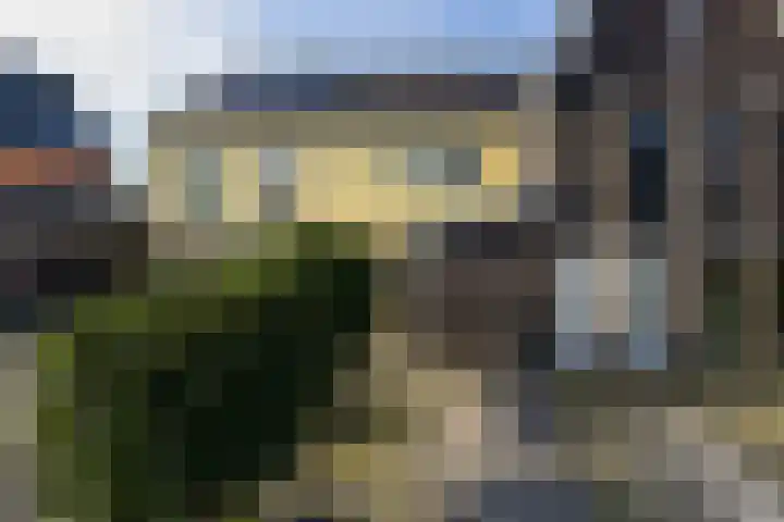Dijkgraaf 164 Zwaag thumbnail 31