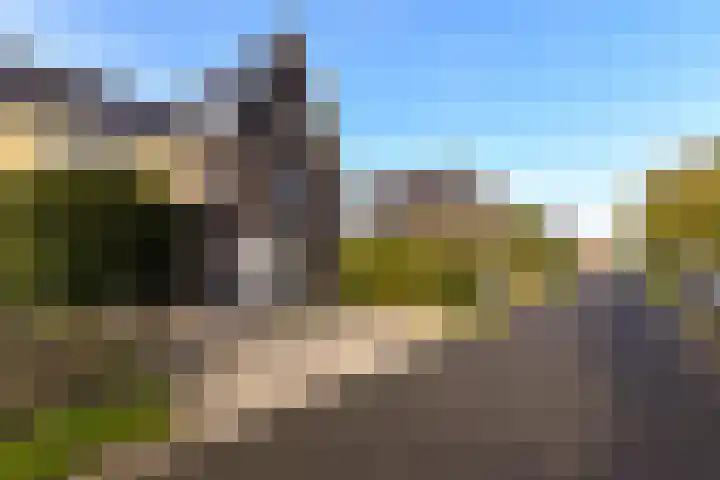 Dijkgraaf 164 Zwaag thumbnail 32