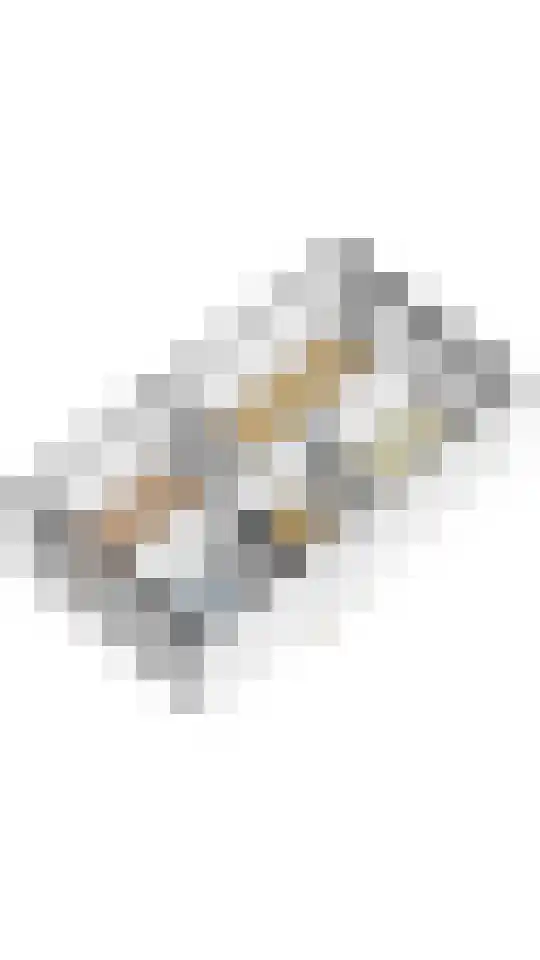 Dijkgraaf 164 Zwaag thumbnail 38