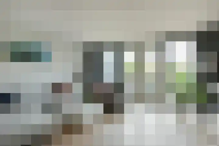 Dijkgraaf 164 Zwaag thumbnail 5