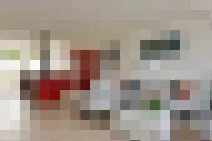 Dijkgraaf 164 Zwaag thumbnail 6