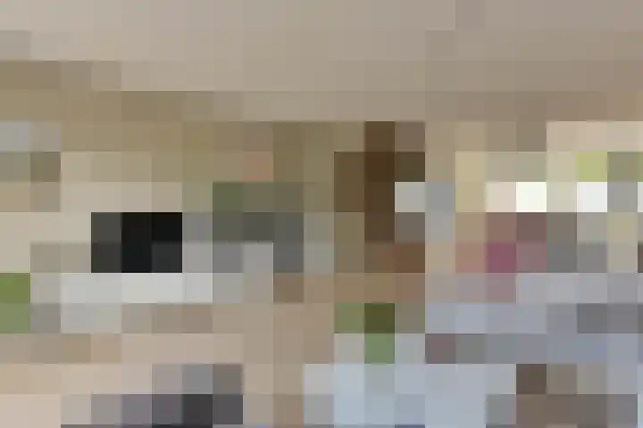 Dijkgraaf 164 Zwaag thumbnail 7