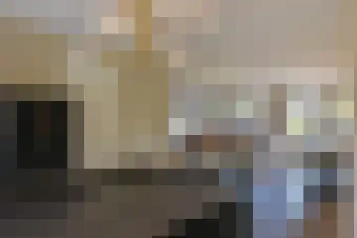 Dijkgraaf 167 Zwaag thumbnail 11
