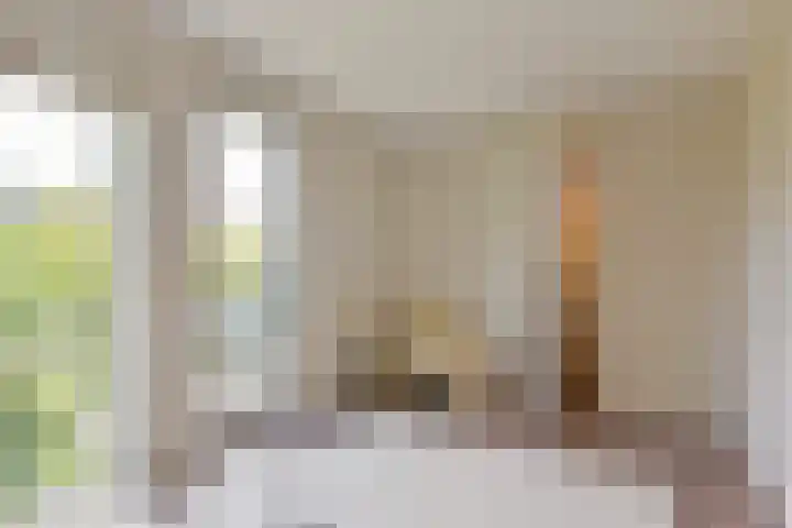 Dijkgraaf 167 Zwaag thumbnail 17