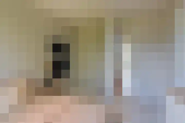 Dijkgraaf 167 Zwaag thumbnail 18