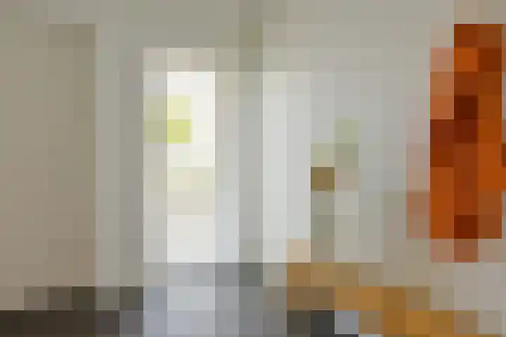 Dijkgraaf 167 Zwaag thumbnail 30