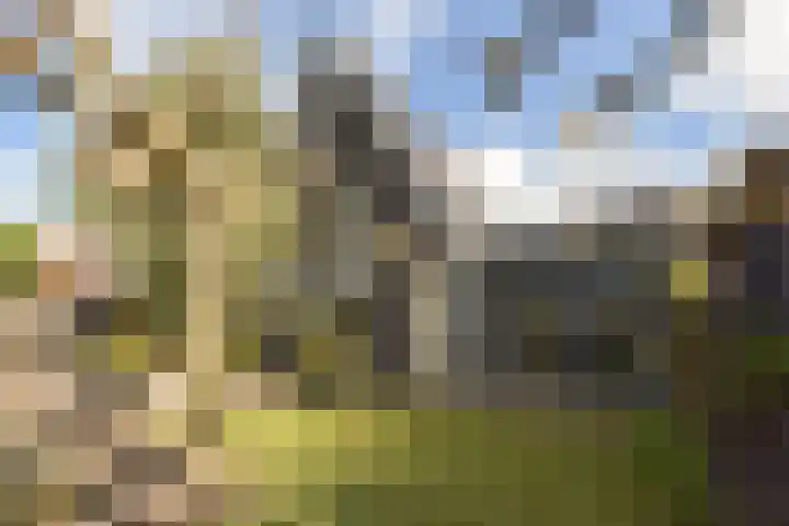 Dijkgraaf 167 Zwaag thumbnail 32