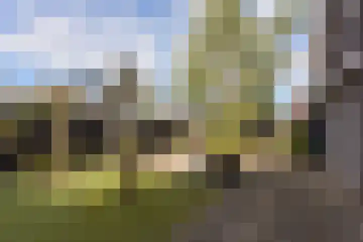 Dijkgraaf 167 Zwaag thumbnail 33