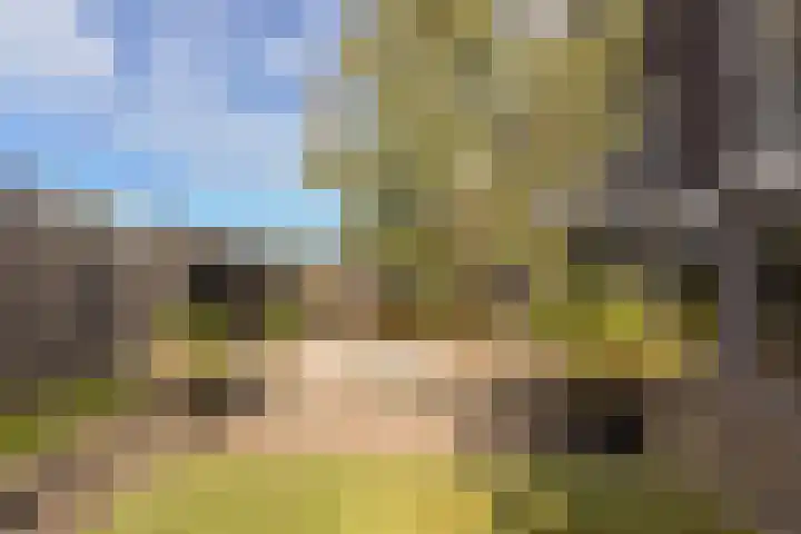 Dijkgraaf 167 Zwaag thumbnail 34