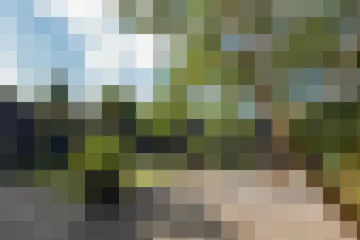 Dijkgraaf 167 Zwaag thumbnail 35