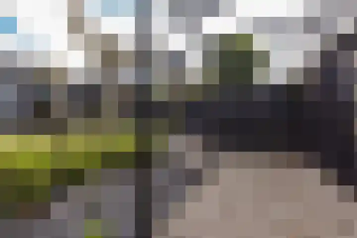 Dijkgraaf 167 Zwaag thumbnail 37