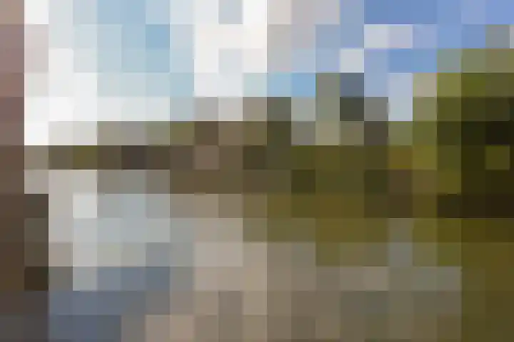 Dijkgraaf 167 Zwaag thumbnail 40