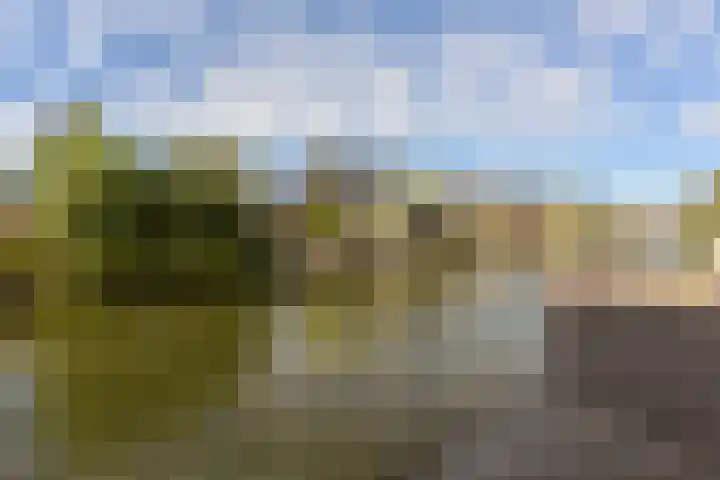 Dijkgraaf 167 Zwaag thumbnail 41