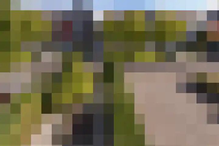 Dijkgraaf 167 Zwaag thumbnail 42