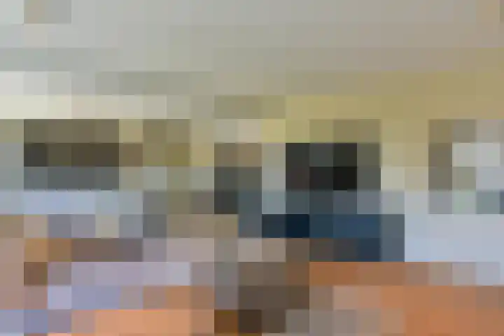 Dijkgraaf 167 Zwaag thumbnail 7