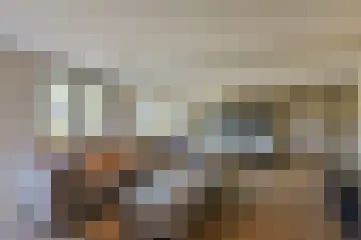 Dijkgraaf 167 Zwaag thumbnail 8