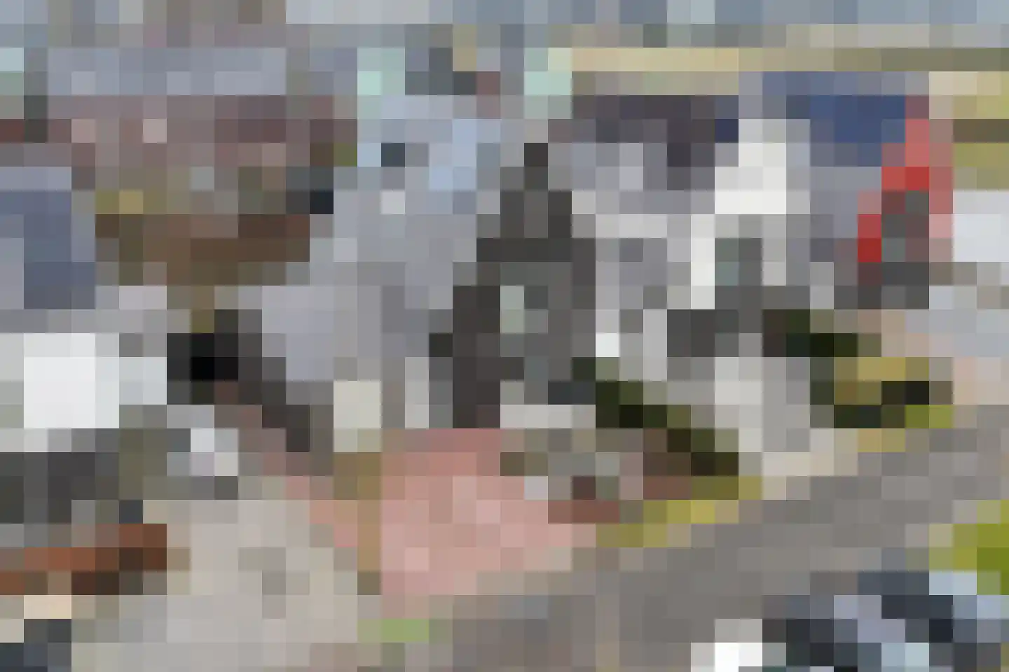 Dijkgraaf 174 Zwaag thumbnail 13