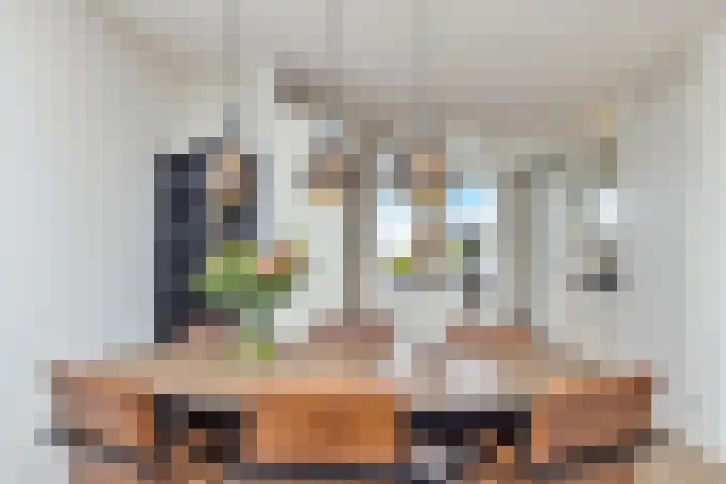 Dijkgraaf 174 Zwaag thumbnail 25