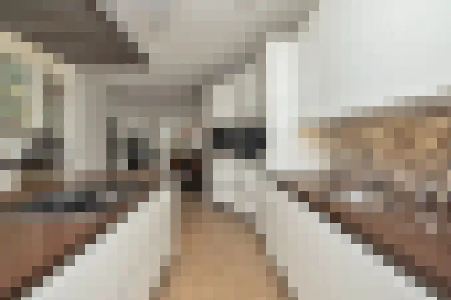 Dijkgraaf 174 Zwaag thumbnail 33