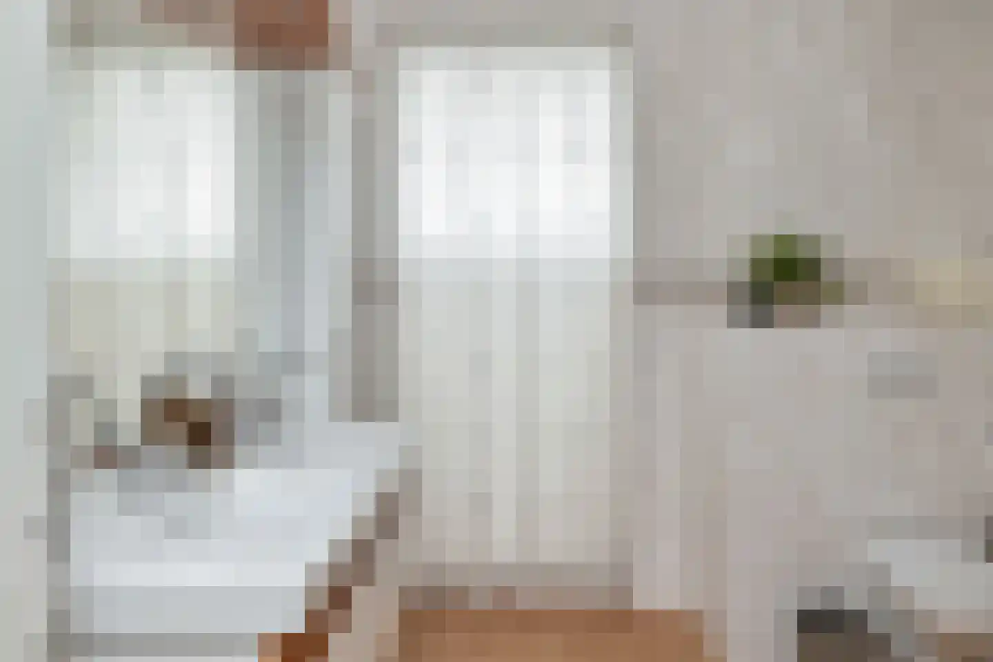 Dijkgraaf 174 Zwaag thumbnail 39