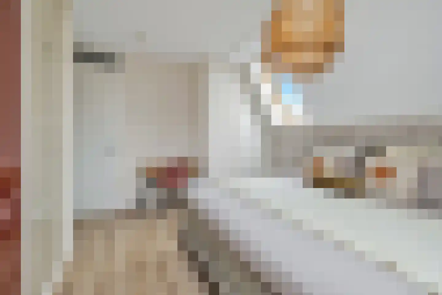 Dijkgraaf 174 Zwaag thumbnail 44