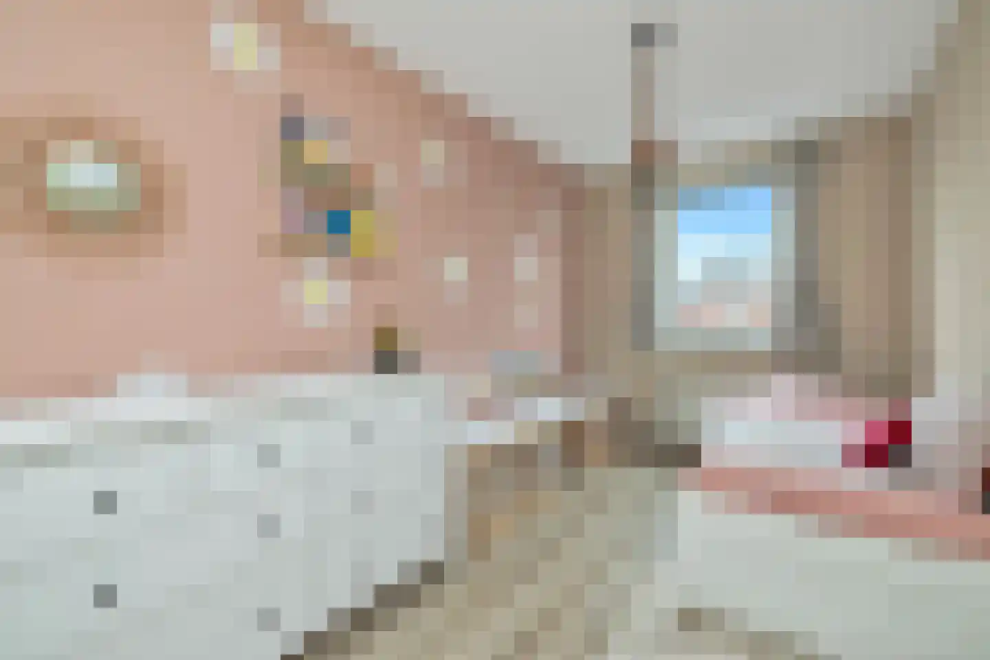 Dijkgraaf 174 Zwaag thumbnail 48