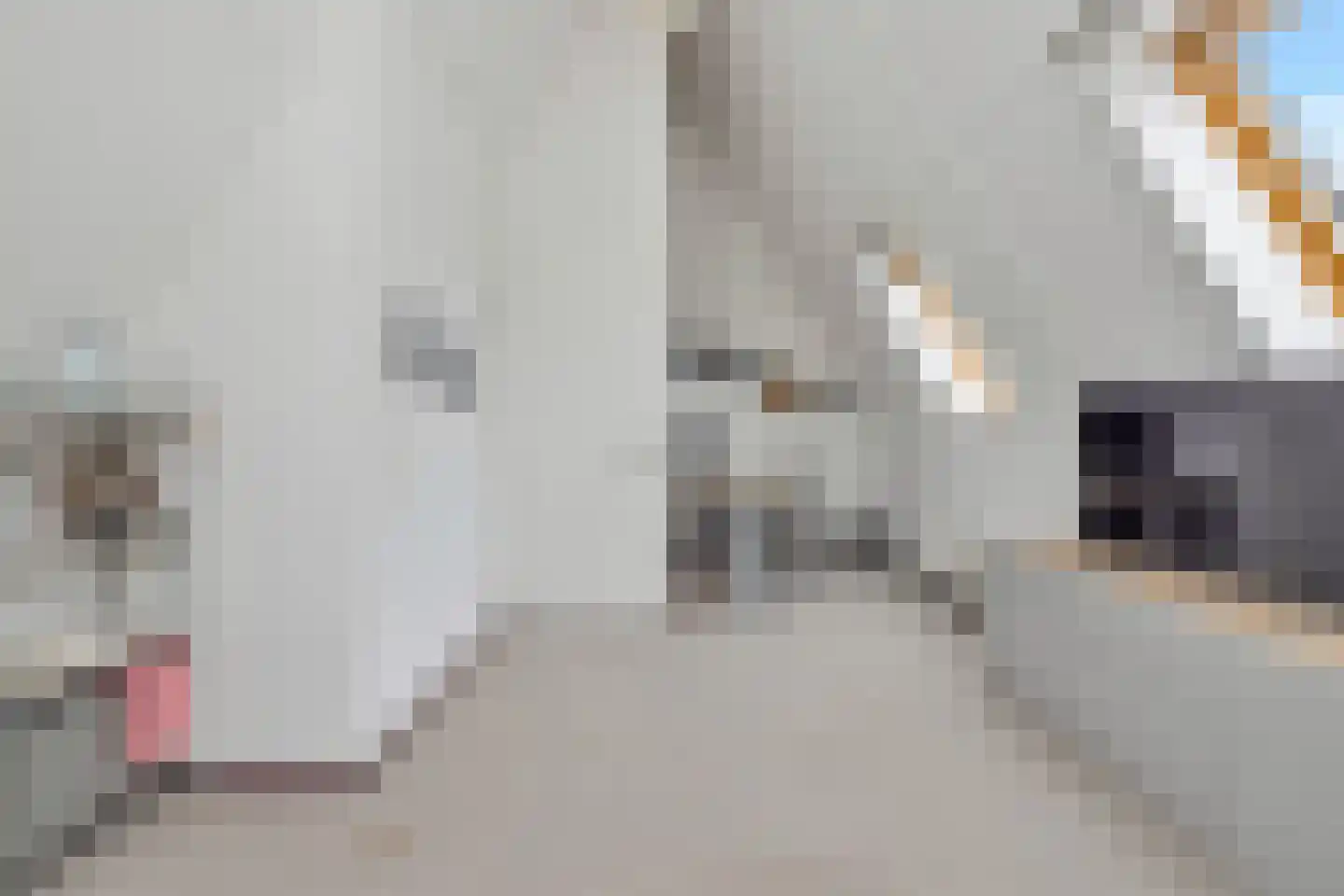 Dijkgraaf 174 Zwaag thumbnail 54